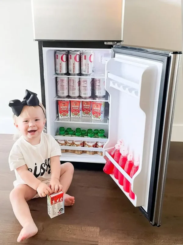 Compact Refrigerator 4.0 Cu Ft 2 Door Mini Fridge with Freezer For Apartment, Dorm, Office, Family, Basement, Garage, Silver - Image 5
