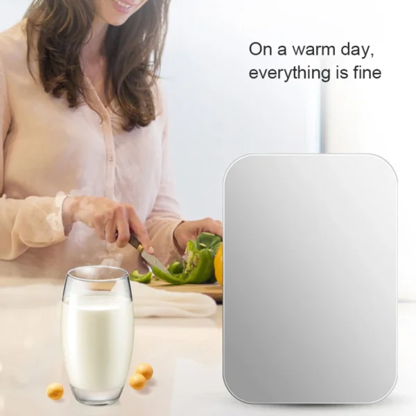 Mini Fridge Refrigerator Beauty Cooler Warmer Refrigerators Constant Temperature Skincare Preservation for Home CAR 20L/220V EU - Image 3